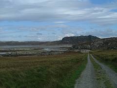 Oronsay
