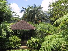 Martinique - Jardins de Balata